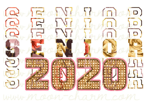 Senior 2020 png pack